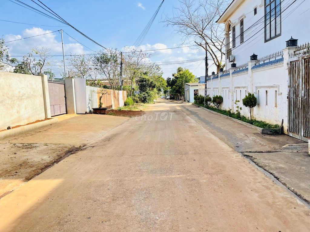 4313654 ảnh đại diện 1