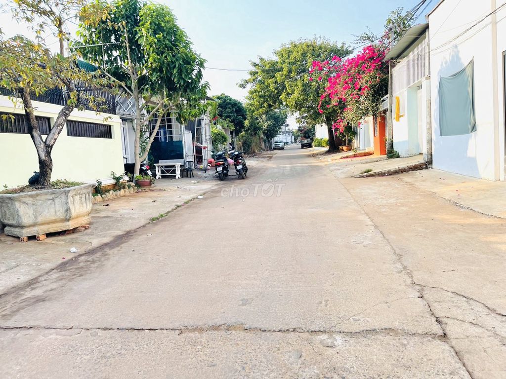 4313654 ảnh đại diện 1