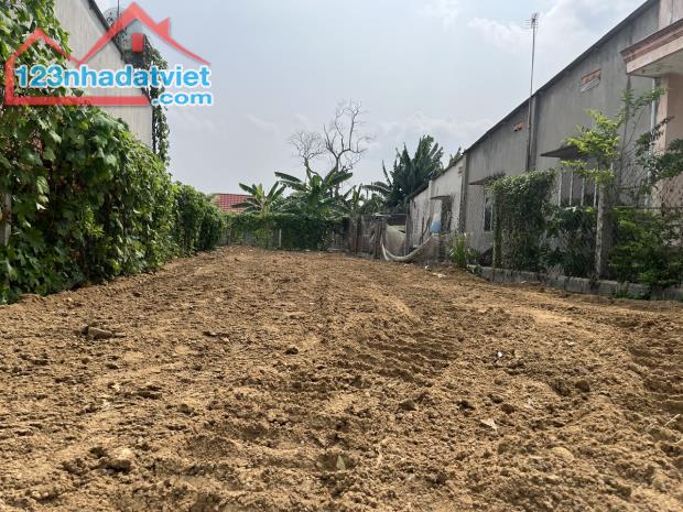 4313067 ảnh đại diện 2