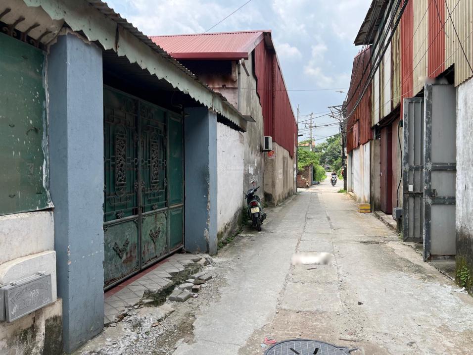 4314614 ảnh đại diện 2