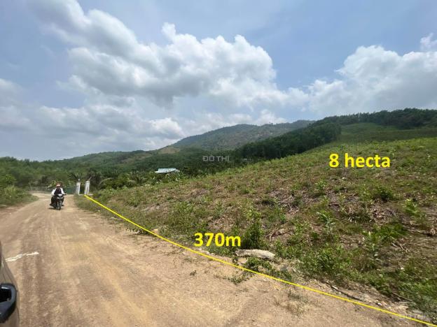 4313947 ảnh đại diện 1