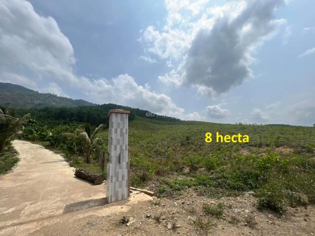 4313947 ảnh đại diện 1