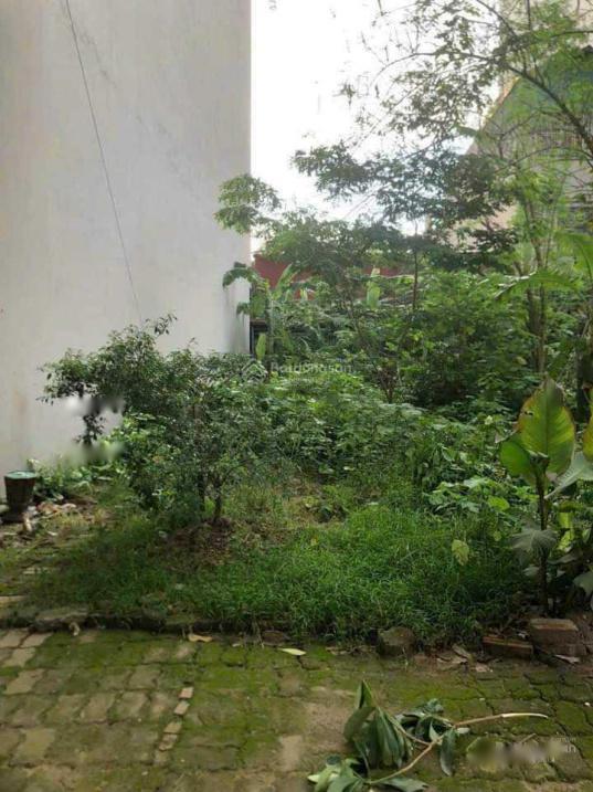 4314643 ảnh đại diện 1