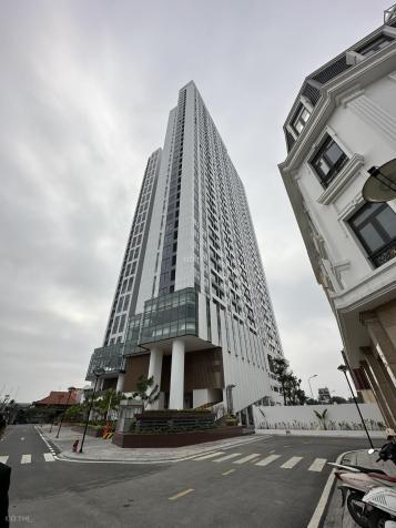 4313617 ảnh đại diện 2