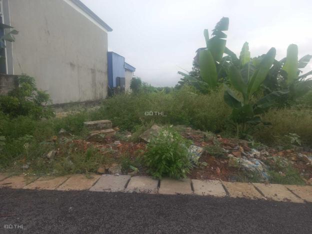 4315434 ảnh đại diện 1