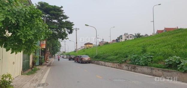 4313953 ảnh đại diện 2