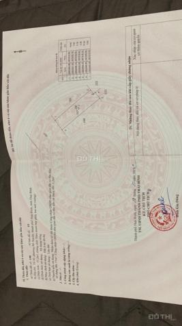 4313232 ảnh đại diện 1