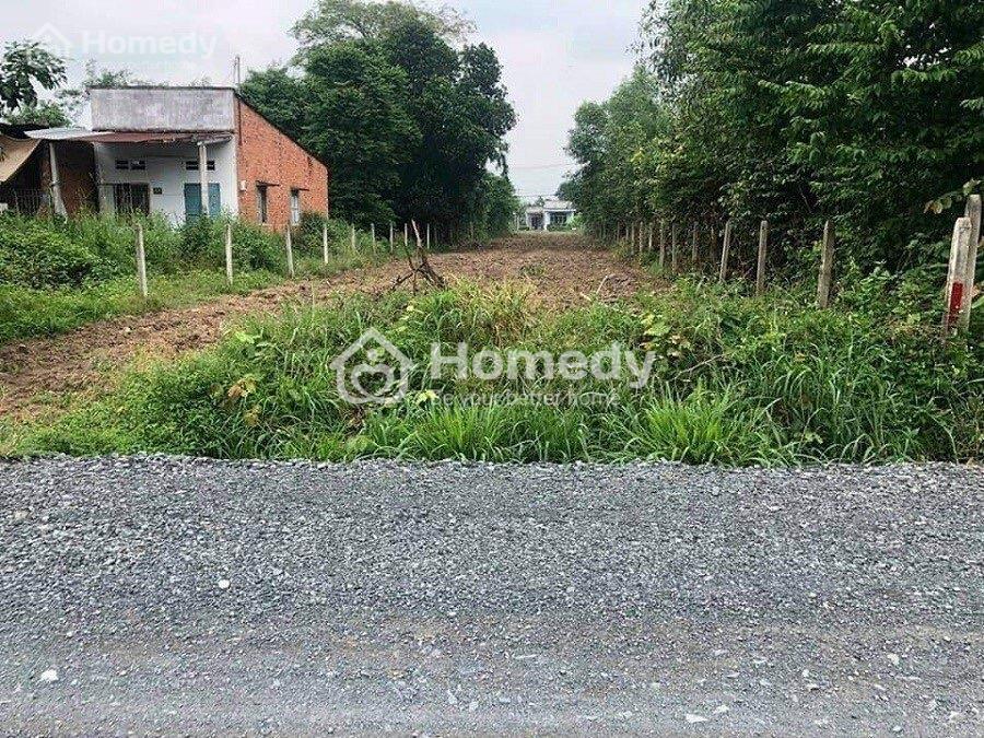 4315336 ảnh đại diện 1