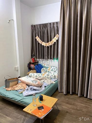 4313288 ảnh đại diện 2