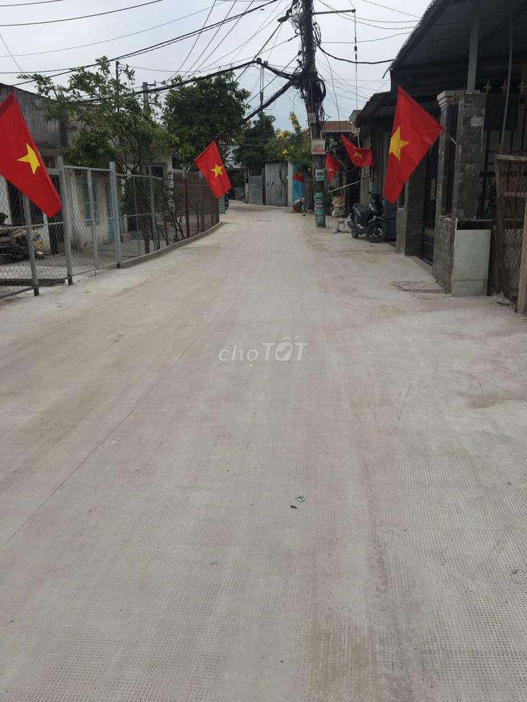 4313929 ảnh đại diện 1