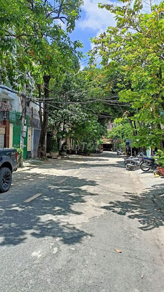 4315145 ảnh đại diện 1