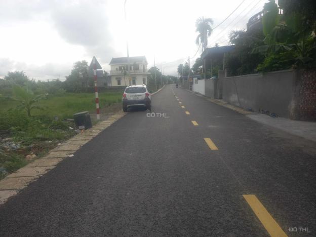 4315434 ảnh đại diện 1