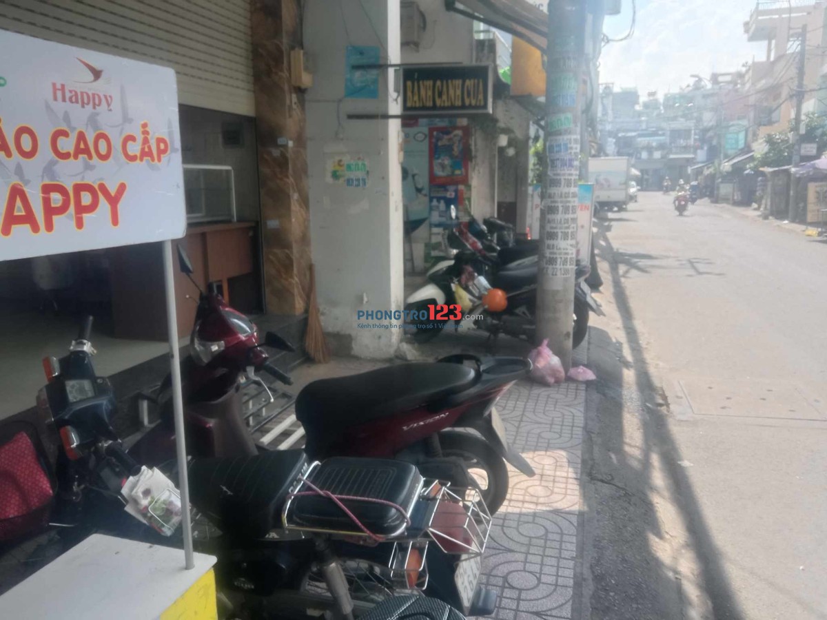 4314293 ảnh đại diện 2