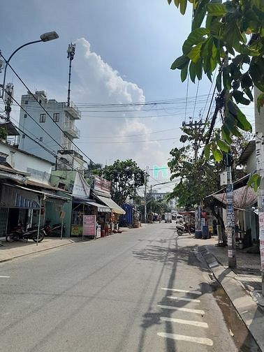 4313603 ảnh đại diện 1