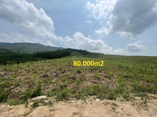 4313947 ảnh đại diện 2