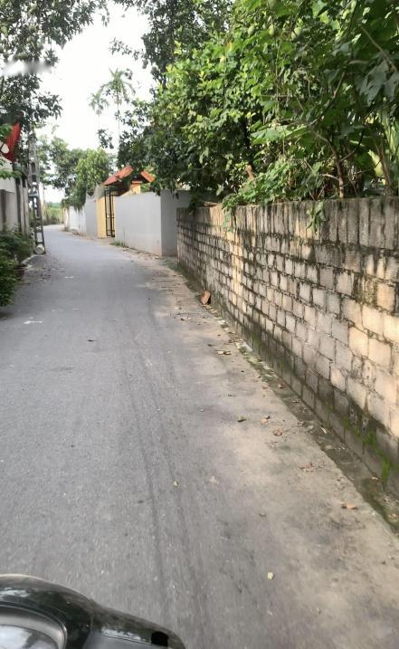 4313944 ảnh đại diện 2