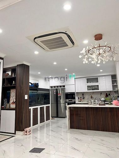 4314149 ảnh đại diện 1