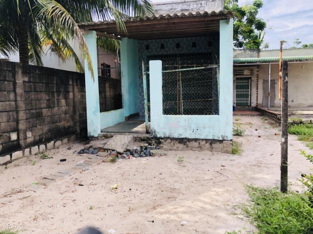 4313975 ảnh đại diện 2