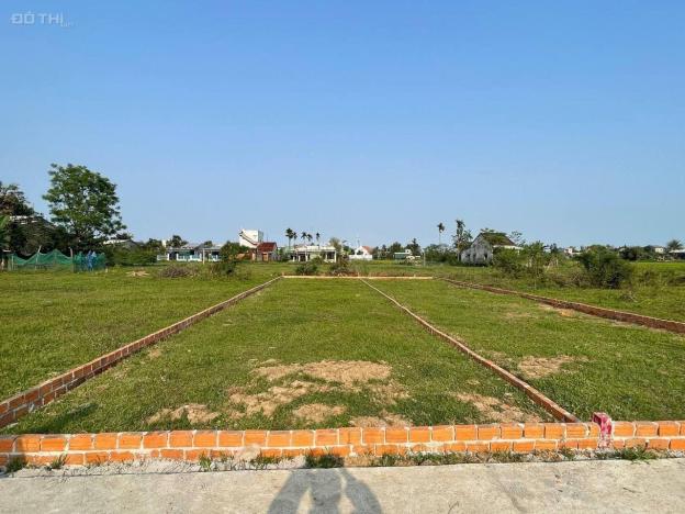 4317974 ảnh đại diện 2
