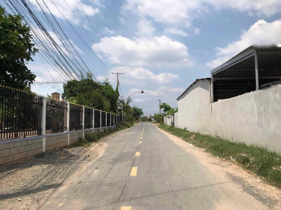 4316871 ảnh đại diện 1