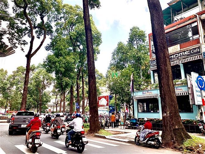 4317042 ảnh đại diện 1
