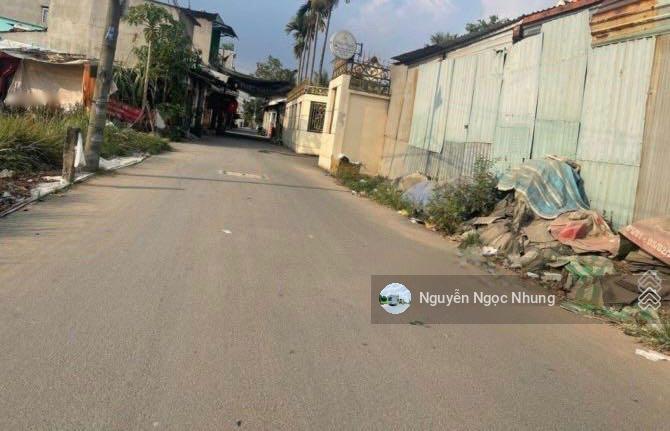 4317697 ảnh đại diện 1