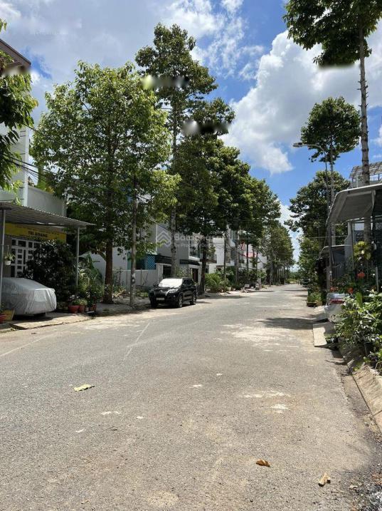 4316890 ảnh đại diện 1