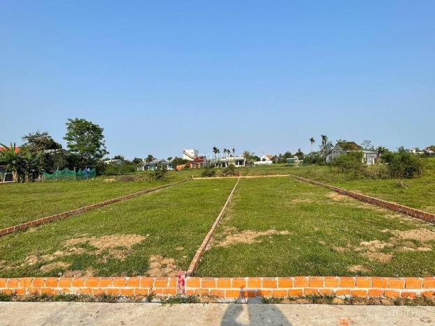 4317974 ảnh đại diện 1