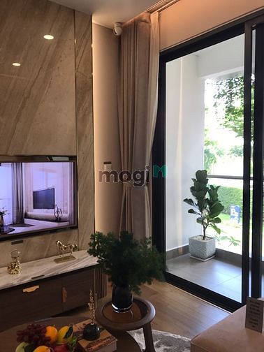 4316390 ảnh đại diện 2