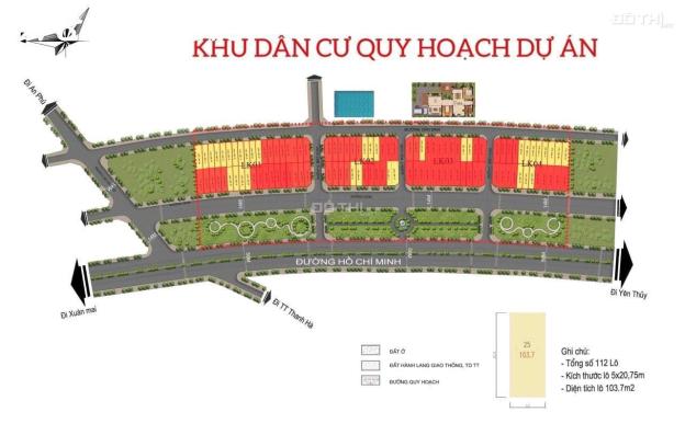 4317923 ảnh đại diện 2
