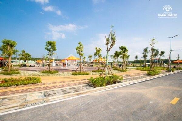 4315985 ảnh đại diện 1