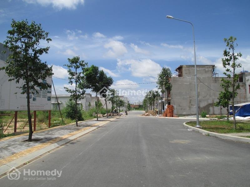 4316129 ảnh đại diện 1