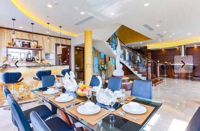 4317461 ảnh đại diện 2