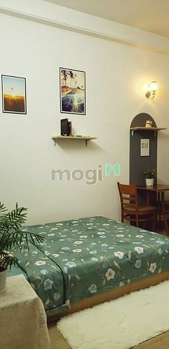 4316076 ảnh đại diện 1
