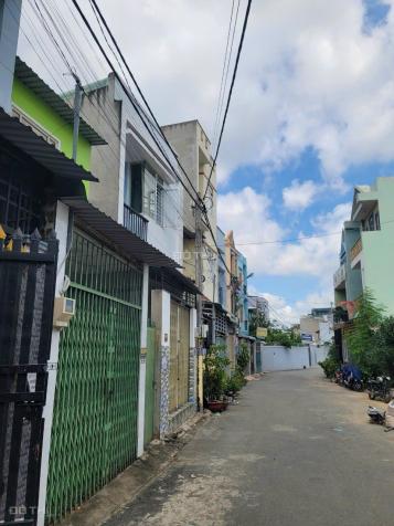 4316410 ảnh đại diện 1