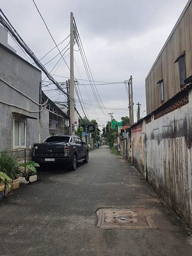 4317380 ảnh đại diện 1