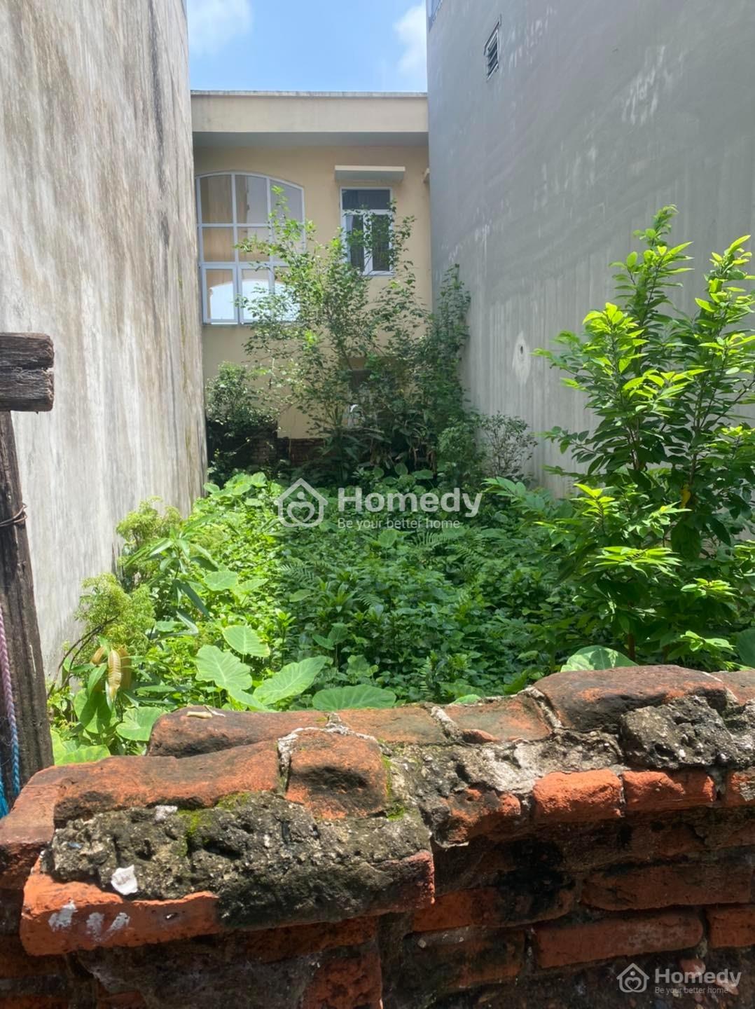 4316623 ảnh đại diện 1