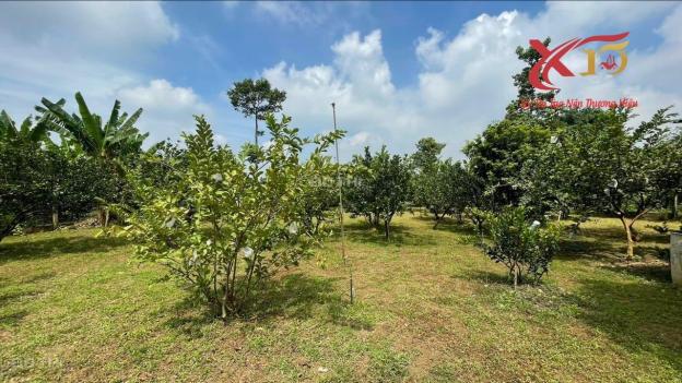 4318180 ảnh đại diện 1