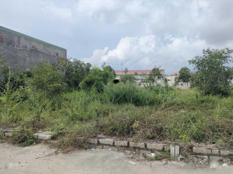 4318052 ảnh đại diện 2