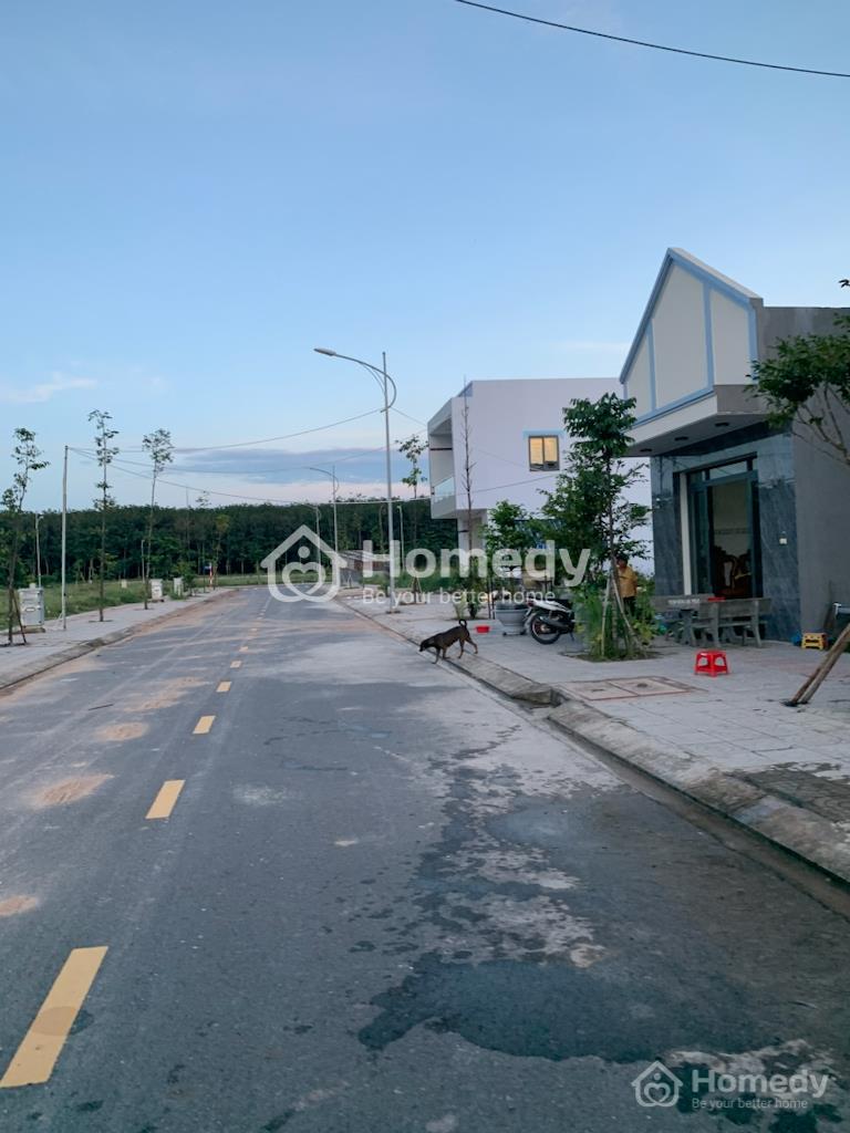 4316132 ảnh đại diện 2