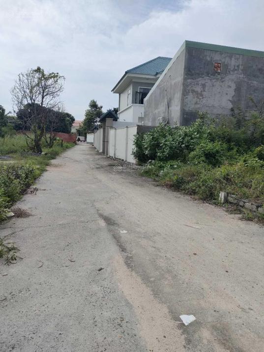 4318052 ảnh đại diện 1
