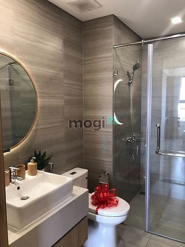 4316390 ảnh đại diện 1