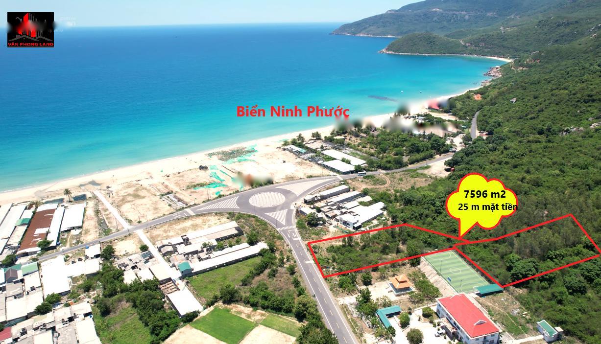 4316184 ảnh đại diện 1