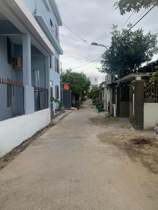 4317529 ảnh đại diện 1