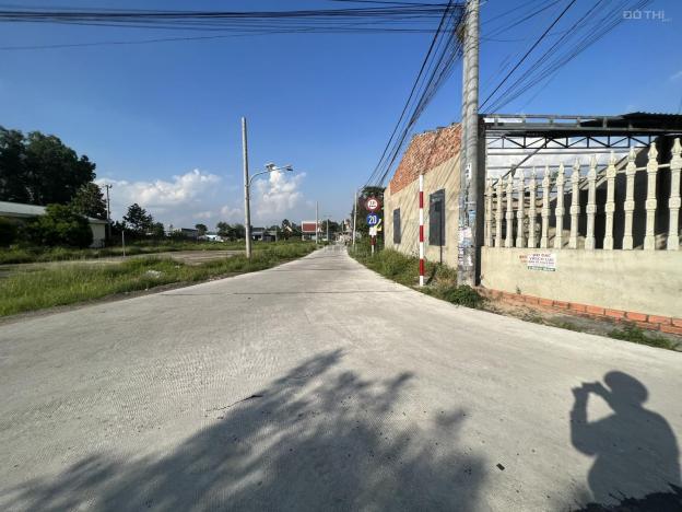 4318149 ảnh đại diện 1