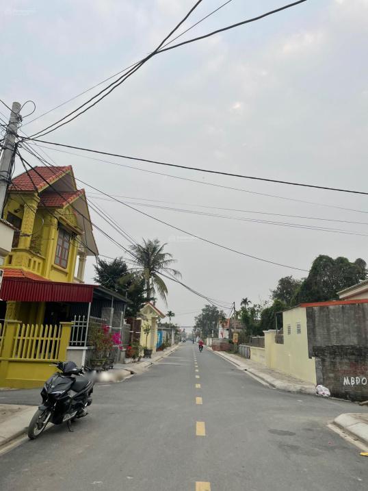 4318075 ảnh đại diện 1