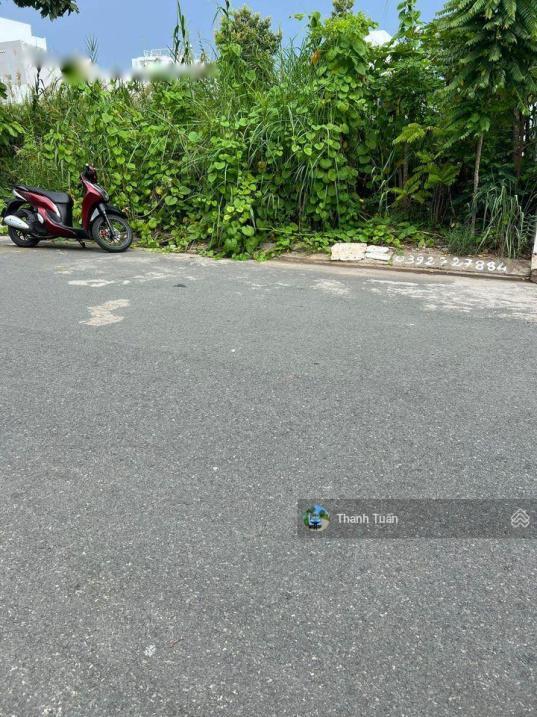 4318151 ảnh đại diện 2
