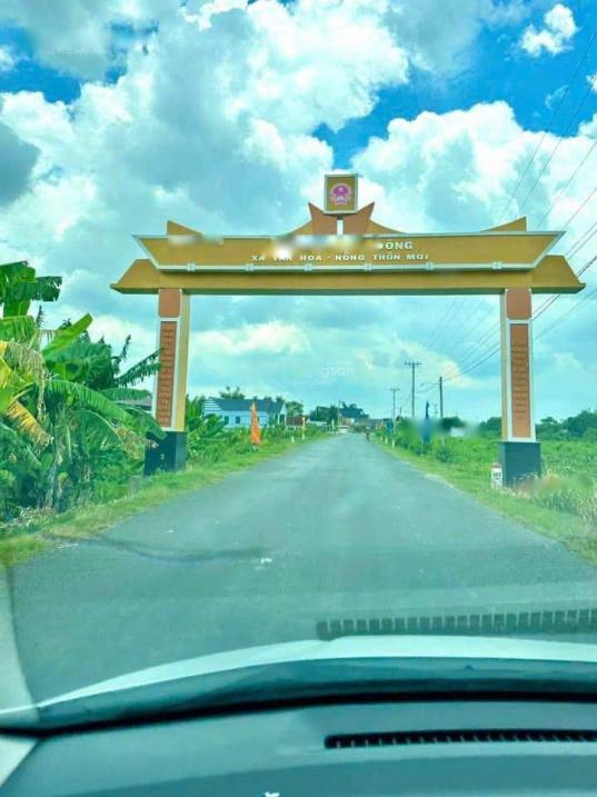 4317642 ảnh đại diện 1