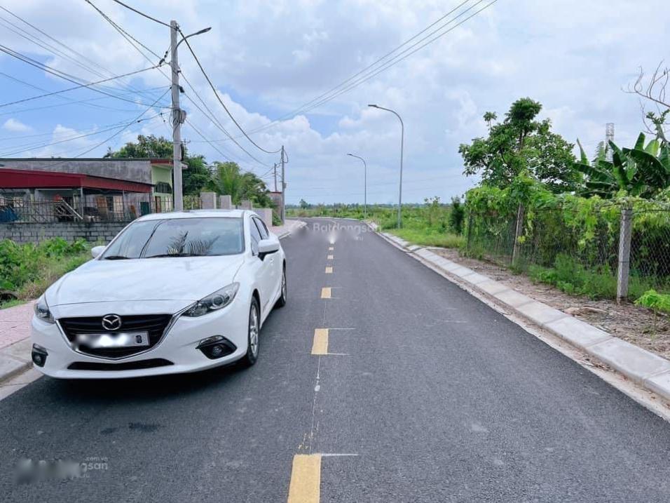 4318094 ảnh đại diện 1