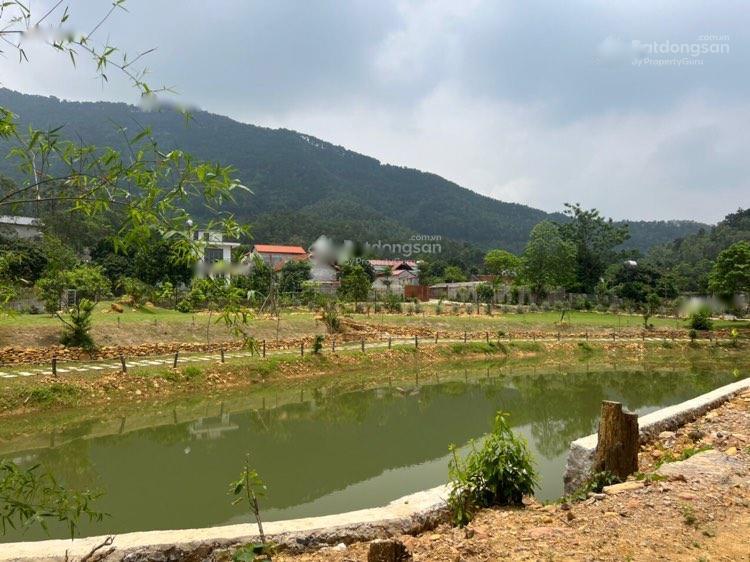 4318160 ảnh đại diện 1